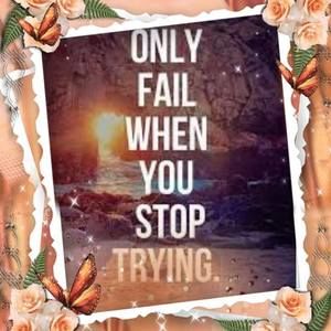 Meet your Posher, Miranda